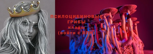 прущие грибы Алексин