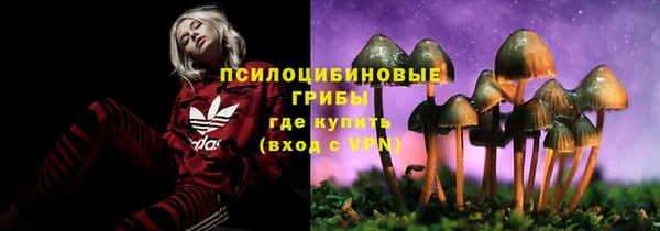прущие грибы Алексин