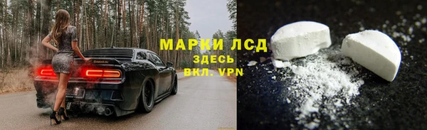 прущие грибы Алексин
